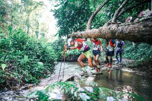 BIB: 
                            <button type="button" onclick="openModal(25436532)" class="btn btn-primary btn-sm float-right btn-popup" data-toggle="modal" data-target=".modal-high-quality">
                        <i class="fas fa-shopping-cart"></i> Add to Cart
                    </button>
                                            <button type="button" onclick="isThisMe(25436532, true)" class="btn btn-success btn-sm float-right btn-popup btn-isme hidden" data-toggle="tooltip" data-placement="bottom" title="นี่คือรูปของคุณใช่ไหม คลิกที่นี่เพื่อเอาเข้าอัลบั้ม">
                        <i class="fas fa-plus"></i> Add to album
                    </button>
                    <button type="button" onclick="isThisMe(25436532, false)" class="btn btn-warning btn-sm float-right btn-popup btn-isnotme hidden">
                        <i class="fas fa-ban"></i> Remove from album
                    </button>